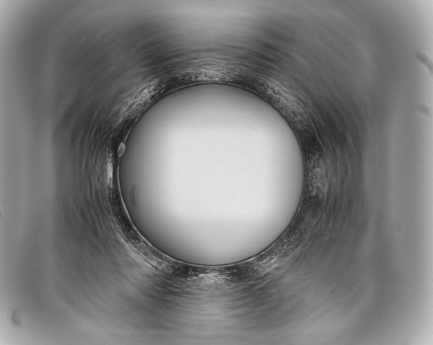 X0000098100310200804181432