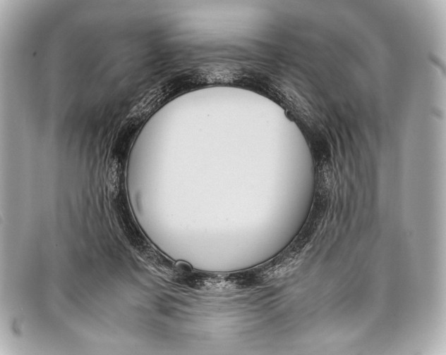 X0000098100311200804181432