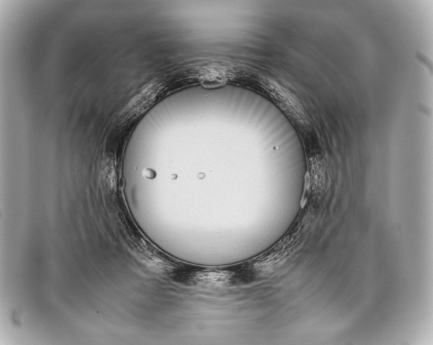 X0000098100313200804181432