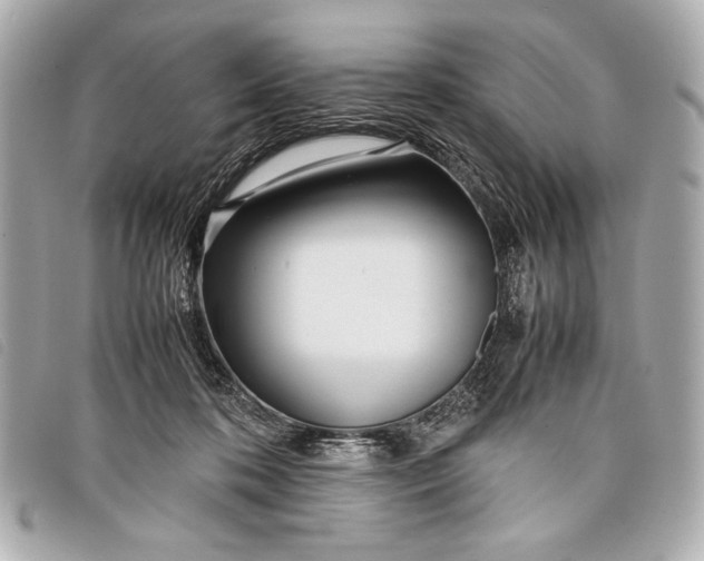 X0000098100316200804181432