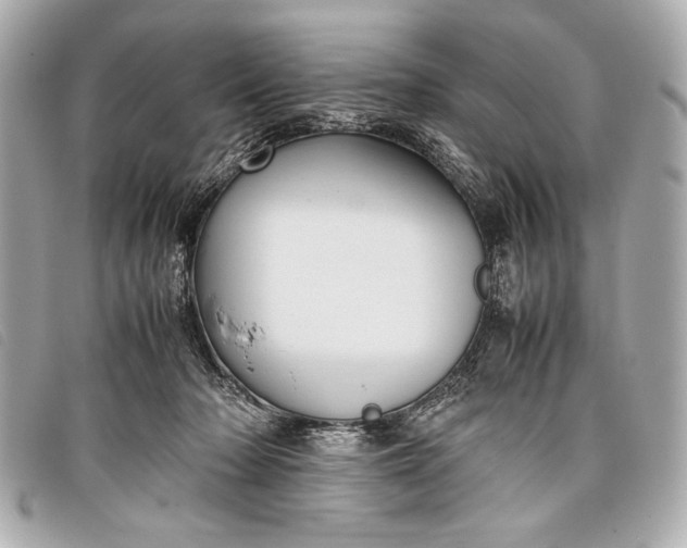 X0000098100318200804181432