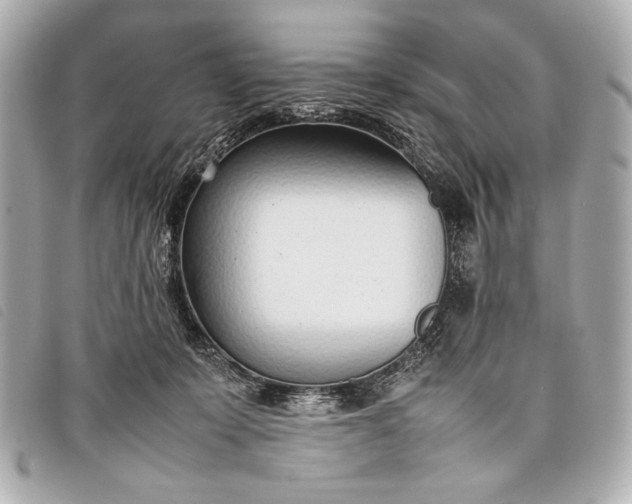 X0000098100319200804181432