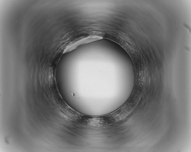 X0000098100320200804181432