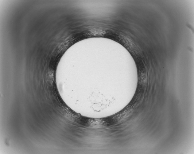 X0000098100321200804181432