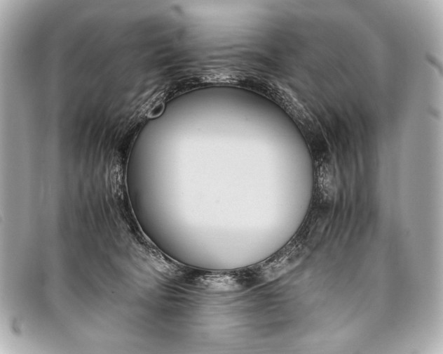 X0000098100322200804181432