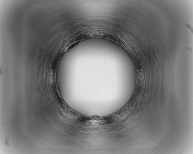 X0000098100323200804181432