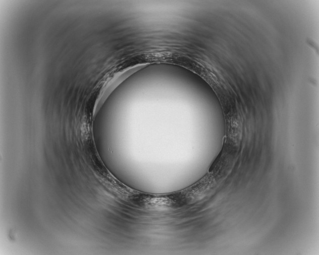 X0000098100324200804181431
