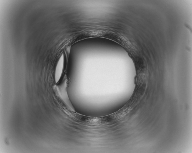 X0000098100325200804181431