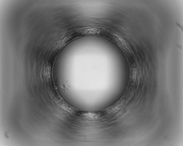 X0000098100326200804181431