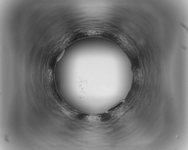 X0000098100327200804181431