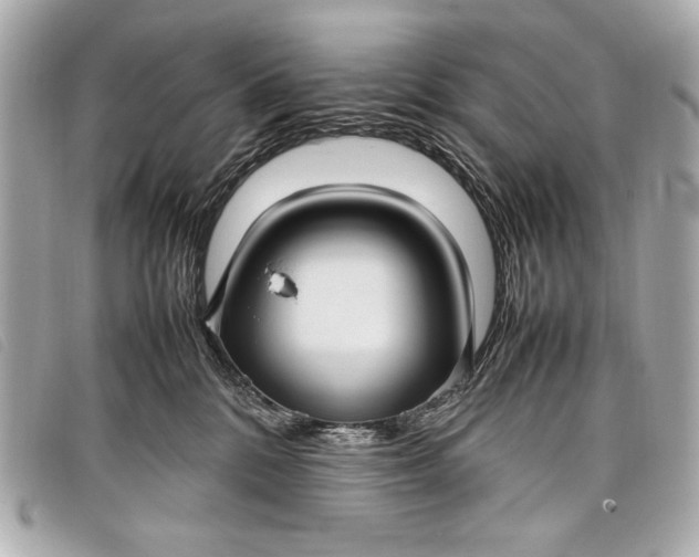 X0000098100328200804181431