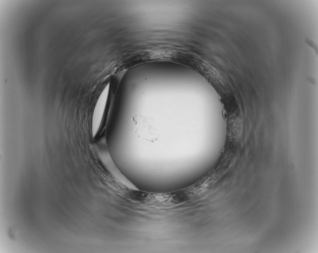 X0000098100329200804181431