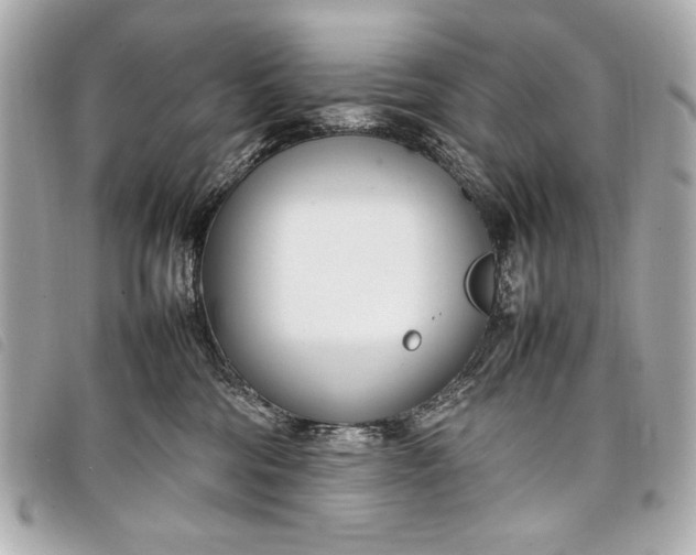 X0000098100330200804181431