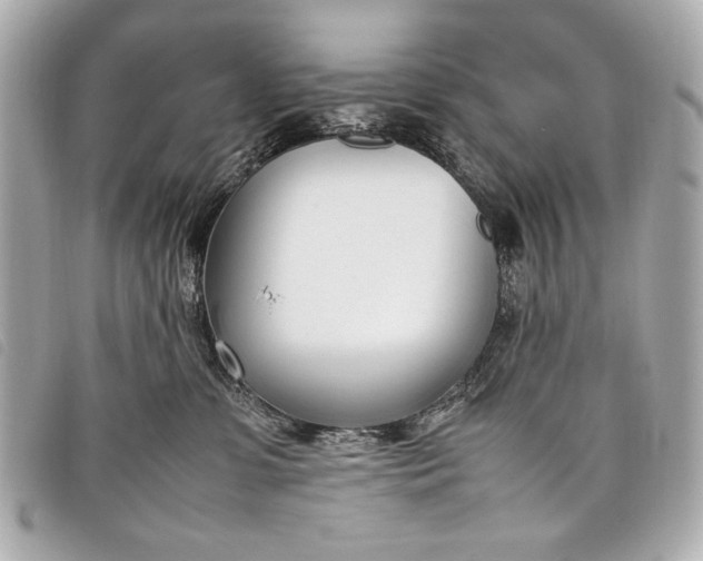 X0000098100331200804181431