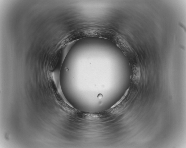 X0000098100332200804181431
