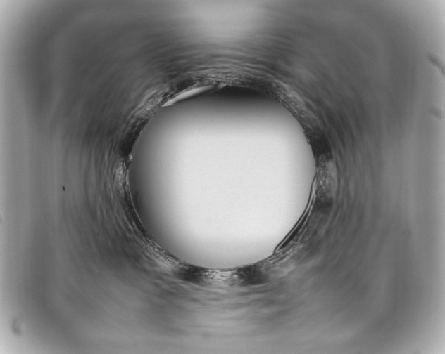 X0000098100333200804181431