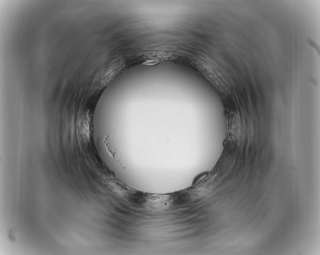 X0000098100334200804181431