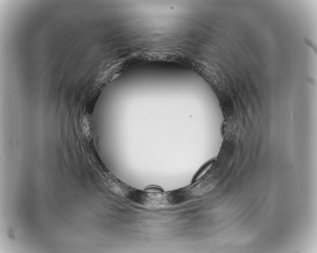 X0000098100335200804181431