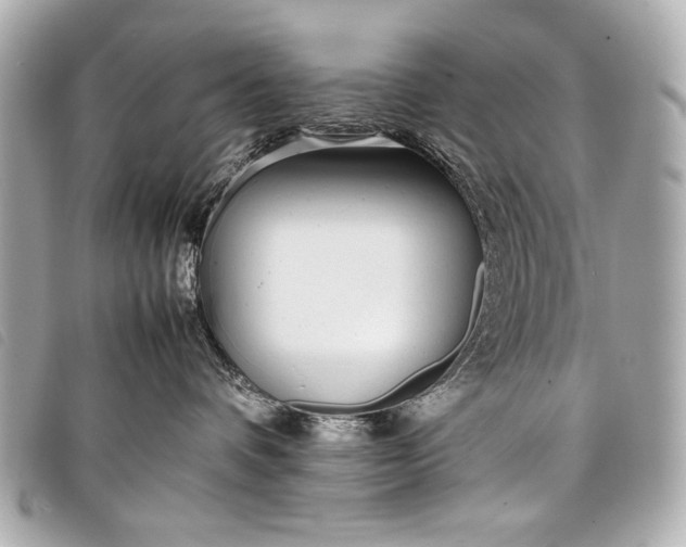 X0000098100336200804181431