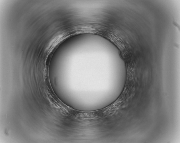 X0000098100338200804181430