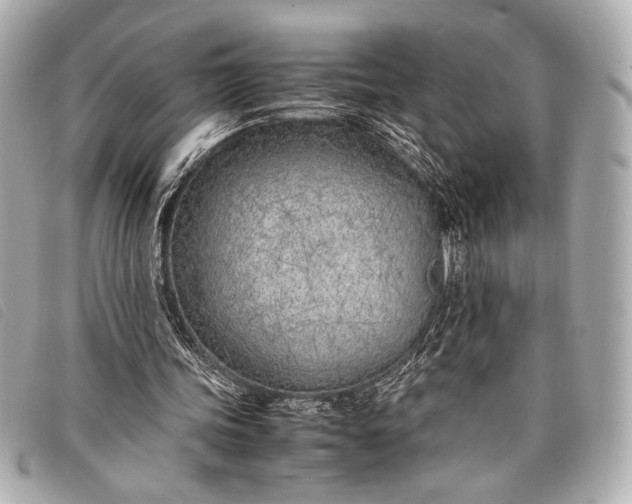 X0000098100339200804181430