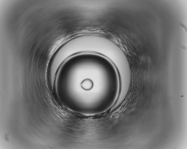 X0000098100340200804181430
