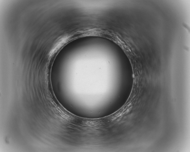 X0000098100341200804181430
