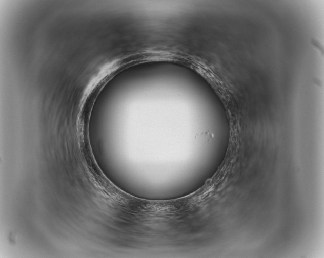 X0000098100343200804181430