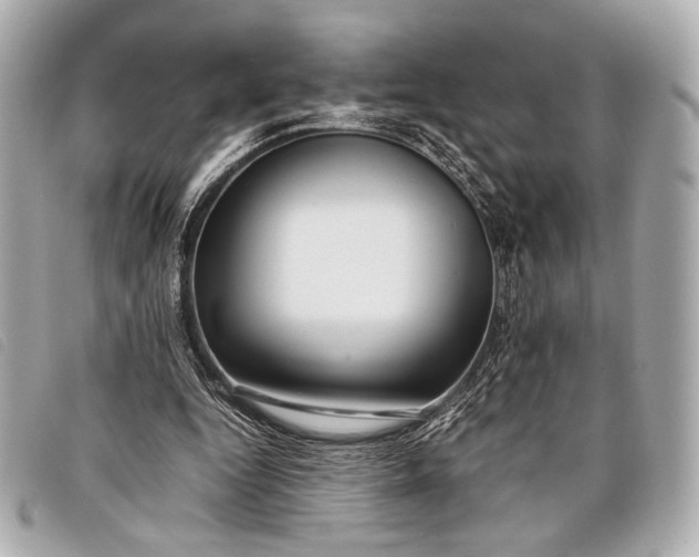 X0000098100344200804181430