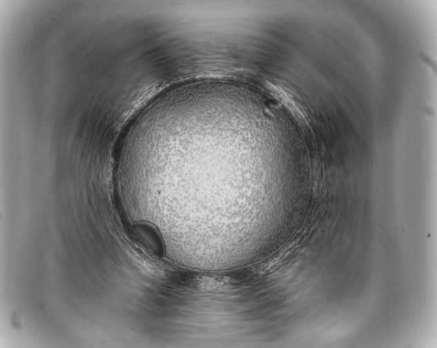 X0000098100346200804181431