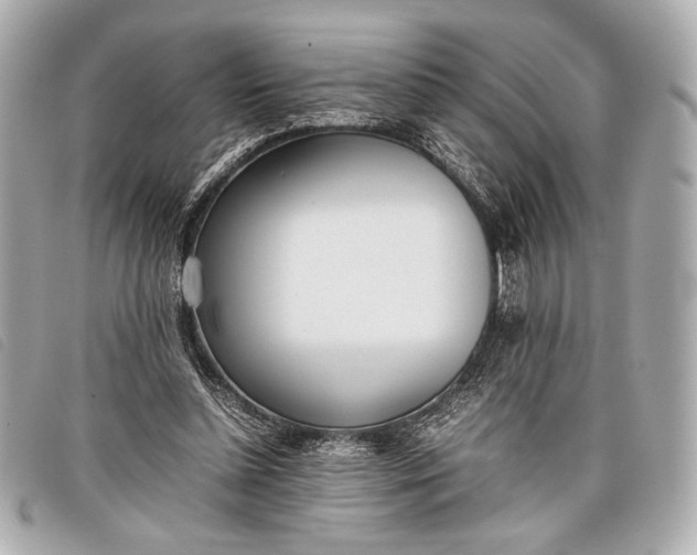X0000098100348200804181431