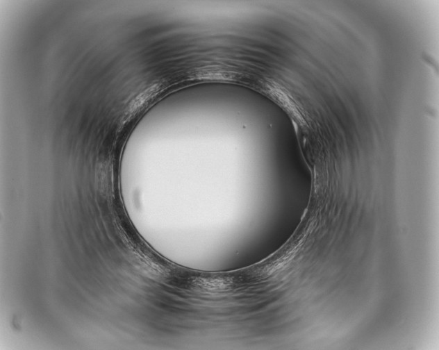 X0000098100349200804181431