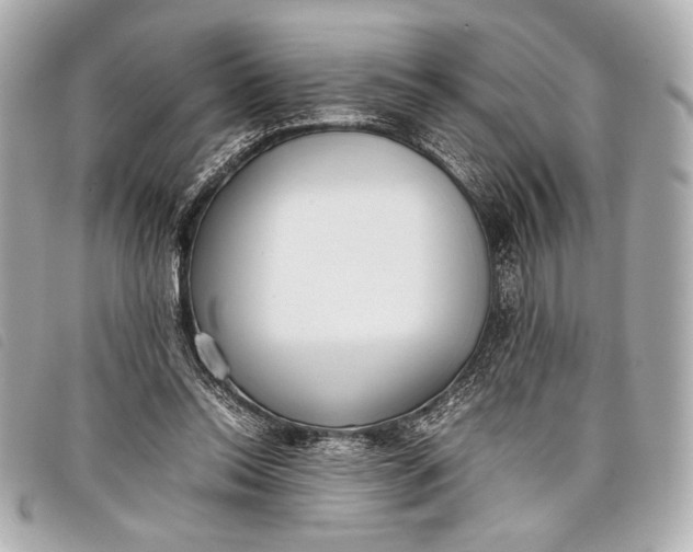 X0000098100350200804181431