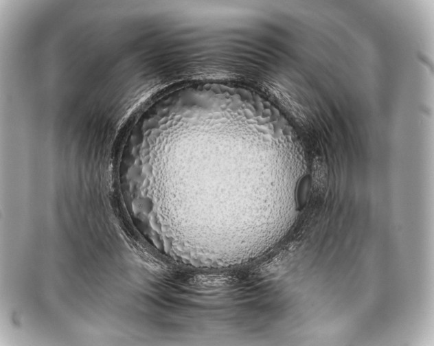 X0000098100351200804181431