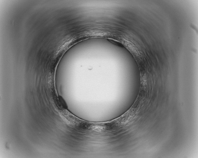 X0000098100352200804181431