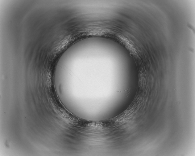 X0000098100354200804181431