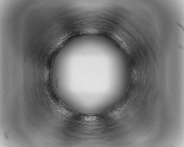 X0000098100355200804181431