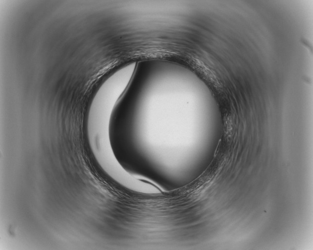 X0000098100356200804181431