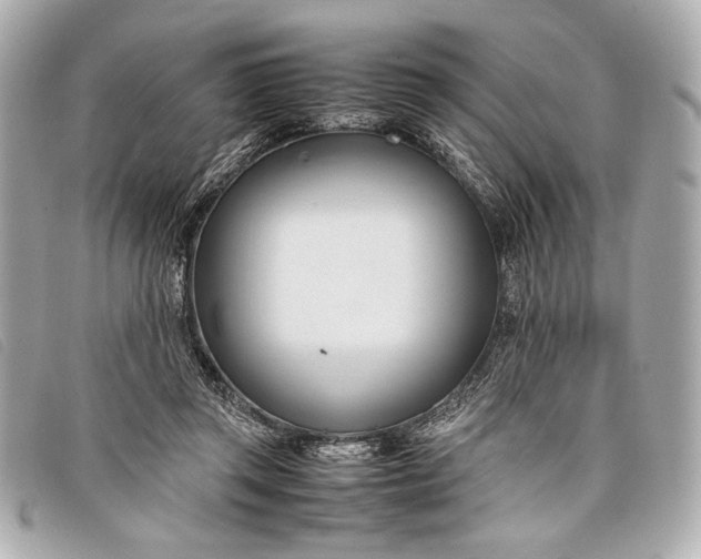 X0000098100357200804181431