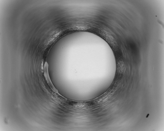 X0000098100358200804181431