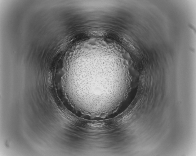 X0000098100359200804181431