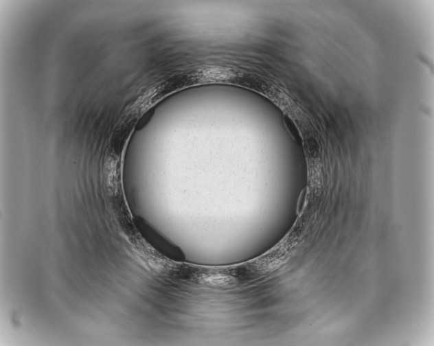 X0000098100360200804181431