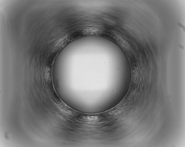 X0000098100361200804181431