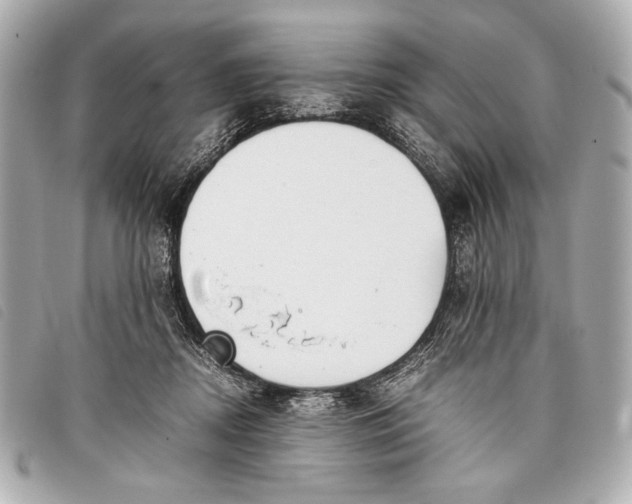 X0000098100362200804181431
