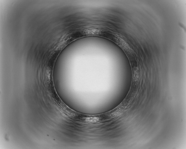 X0000098100363200804181431