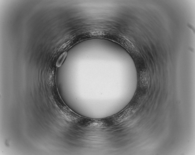 X0000098100364200804181431