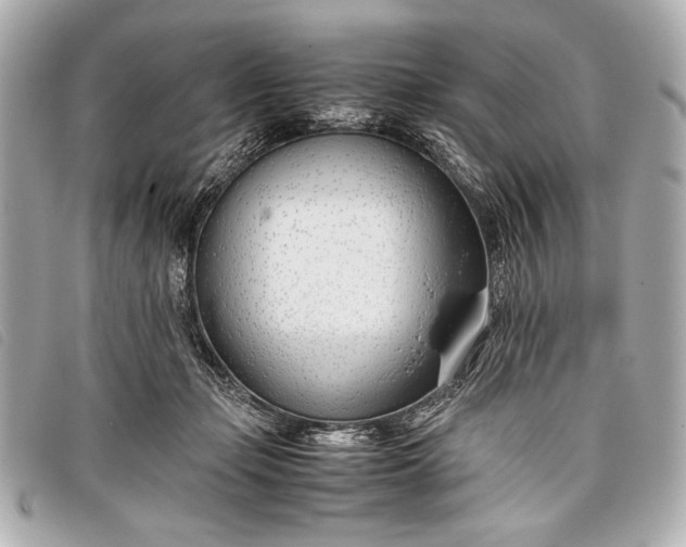 X0000098100365200804181431