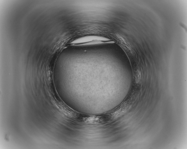 X0000098100366200804181431