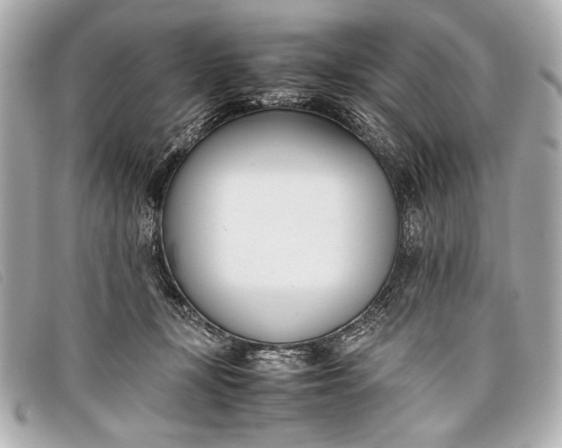 X0000098100367200804181431