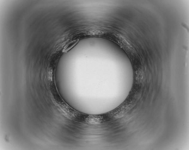 X0000098100368200804181431